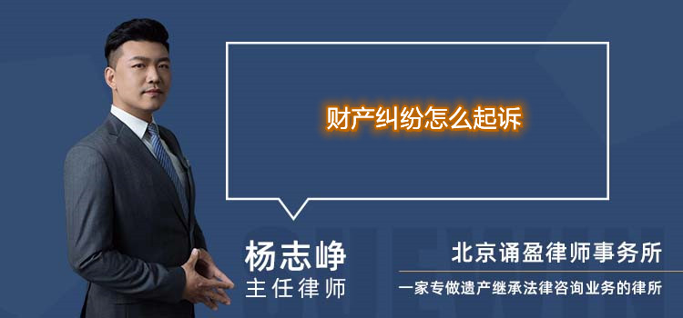 財產(chǎn)糾紛怎么起訴